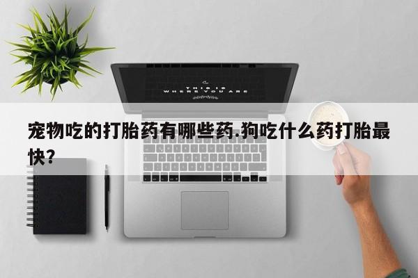 打胎药专卖微信米非司酮片联系方式宠物吃的打胎药有哪些药.狗吃什么药打胎最快？